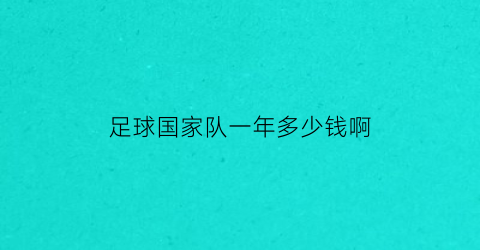 足球国家队一年多少钱啊