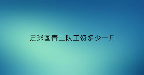 足球国青二队工资多少一月(国青足球队名单)