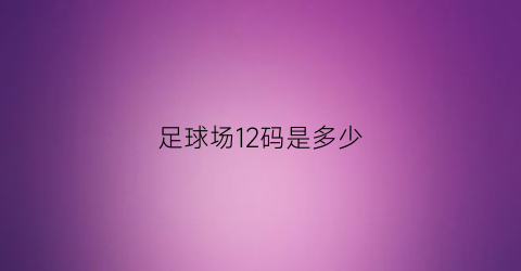 足球场12码是多少