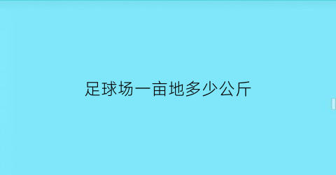 足球场一亩地多少公斤