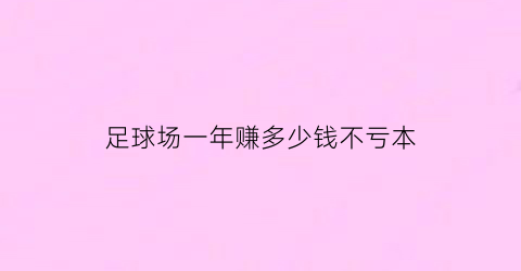 足球场一年赚多少钱不亏本(足球场投资多少钱)