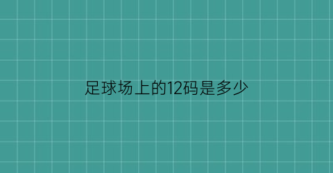 足球场上的12码是多少(足球场上的12码是多少米的)