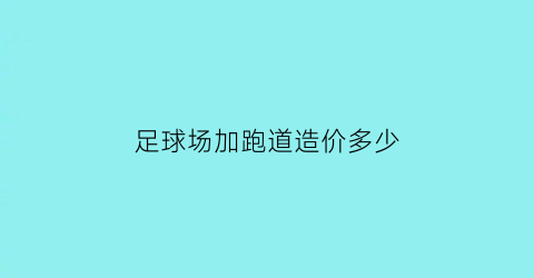 足球场加跑道造价多少(足球场加跑道造价多少钱一米)