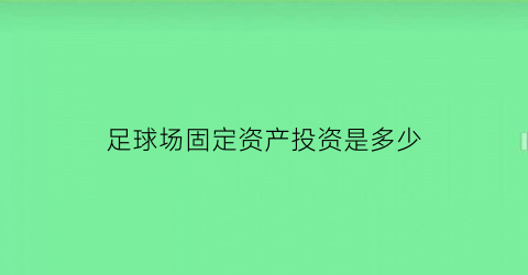 足球场固定资产投资是多少