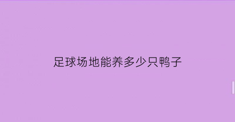 足球场地能养多少只鸭子(足球场地多少亩地)