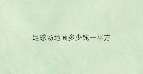 足球场地面多少钱一平方(足球场多少钱一平米)