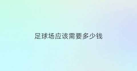 足球场应该需要多少钱(足球场多少钱一个平方)