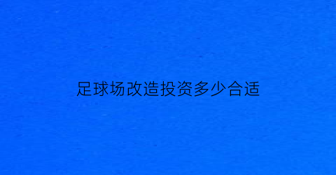 足球场改造投资多少合适(修一个足球场)