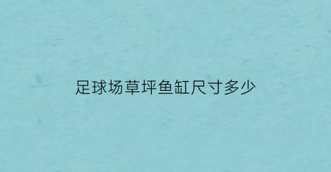 足球场草坪鱼缸尺寸多少(足球场草坪鱼缸尺寸多少合适)