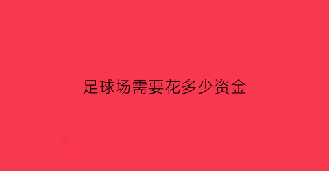 足球场需要花多少资金(搞一个足球场投资多少钱)