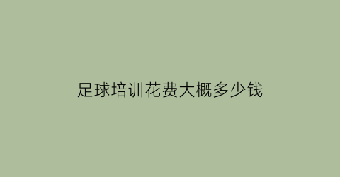 足球培训花费大概多少钱(足球培训班报名费用及方式)