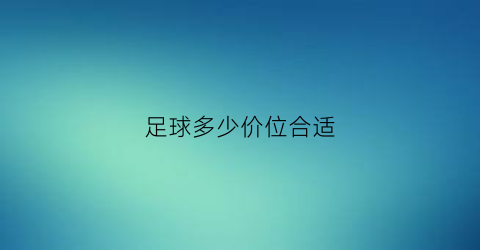 足球多少价位合适(足球价格一般多少钱一个)