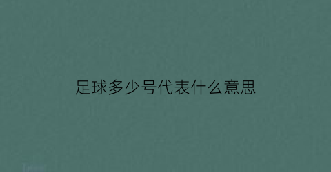 足球多少号代表什么意思(足球多少号比较厉害)