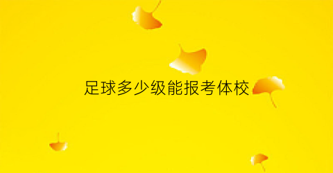 足球多少级能报考体校(足球考试加分吗)