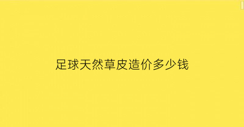 足球天然草皮造价多少钱