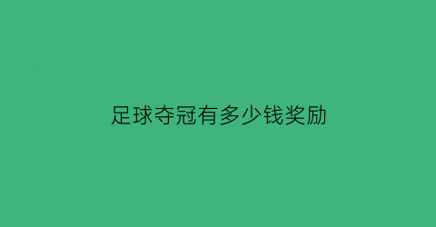 足球夺冠有多少钱奖励(足球冠军奖金多少钱)