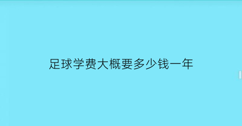 足球学费大概要多少钱一年(报足球班学费多少)