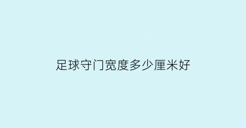 足球守门宽度多少厘米好(足球守门的位置和打法)