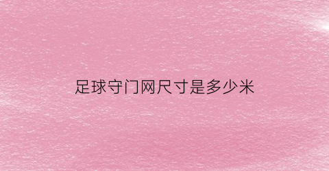 足球守门网尺寸是多少米(足球守门网尺寸是多少米的)