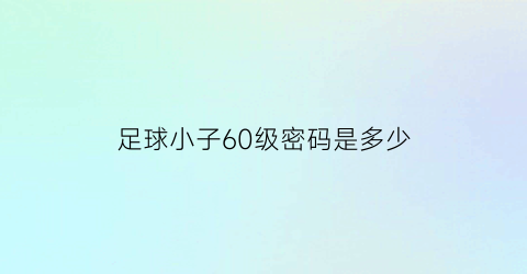 足球小子60级密码是多少(足球小子重置2018)