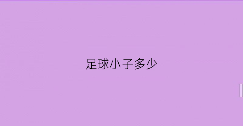 足球小子多少(足球小子多少钱一个)