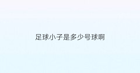 足球小子是多少号球啊(足球小子是多少号球啊视频)