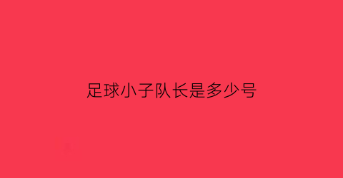 足球小子队长是多少号(足球小子人员)