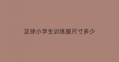 足球小学生训练服尺寸多少