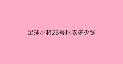 足球小将23号球衣多少钱