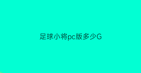 足球小将pc版多少G