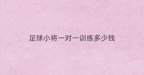 足球小将一对一训练多少钱(足球小将一对一训练多少钱一次)