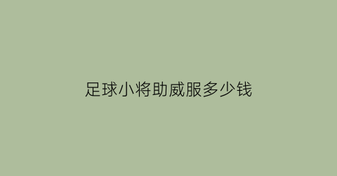 足球小将助威服多少钱(请问足球小将)