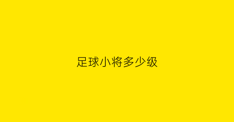 足球小将多少级