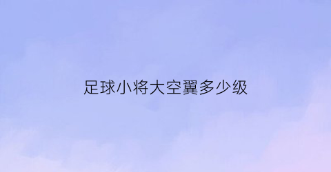 足球小将大空翼多少级