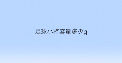 足球小将容量多少g