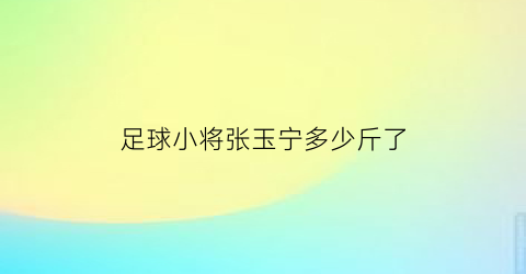 足球小将张玉宁多少斤了