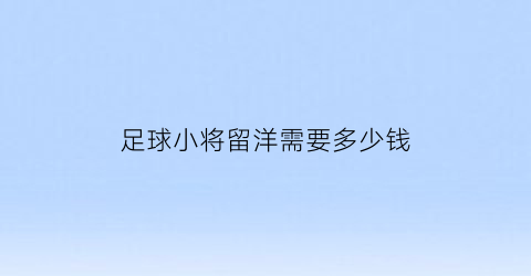 足球小将留洋需要多少钱(足球小将出国)