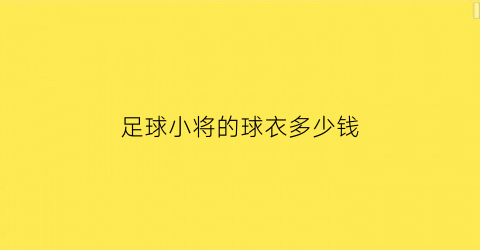 足球小将的球衣多少钱