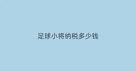 足球小将纳税多少钱