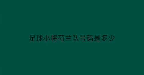 足球小将荷兰队号码是多少(足球小将vs荷兰队第四部分)