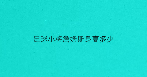 足球小将詹姆斯身高多少