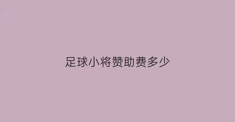 足球小将赞助费多少