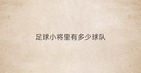 足球小将里有多少球队