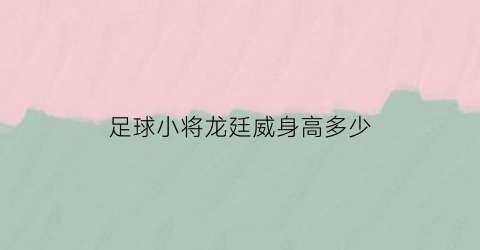 足球小将龙廷威身高多少