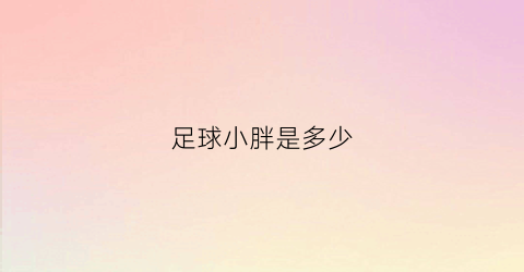 足球小胖是多少(足球明星小胖)