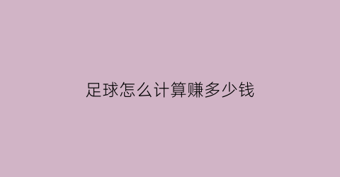 足球怎么计算赚多少钱