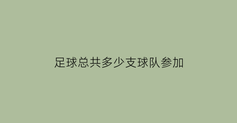 足球总共多少支球队参加