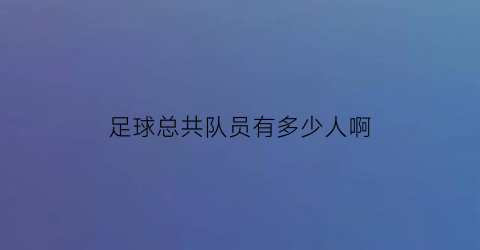 足球总共队员有多少人啊