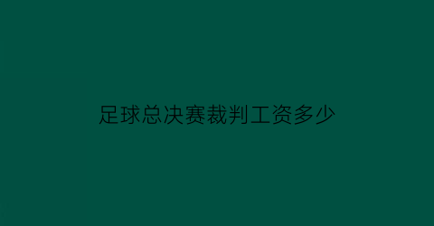 足球总决赛裁判工资多少(国内足球裁判工资)