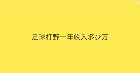 足球打野一年收入多少万